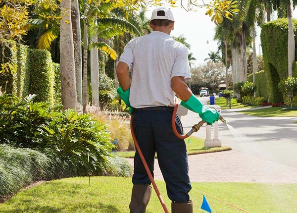 About Davey NE Pest Control